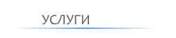 Оценка на материални и нематериални активи